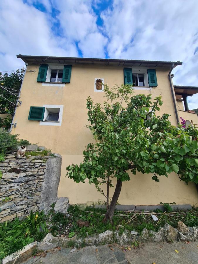 Castrusso Il Frantoio Di Rapallo By Portofinovacanze Экстерьер фото