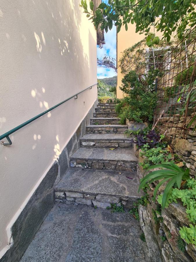 Castrusso Il Frantoio Di Rapallo By Portofinovacanze Экстерьер фото